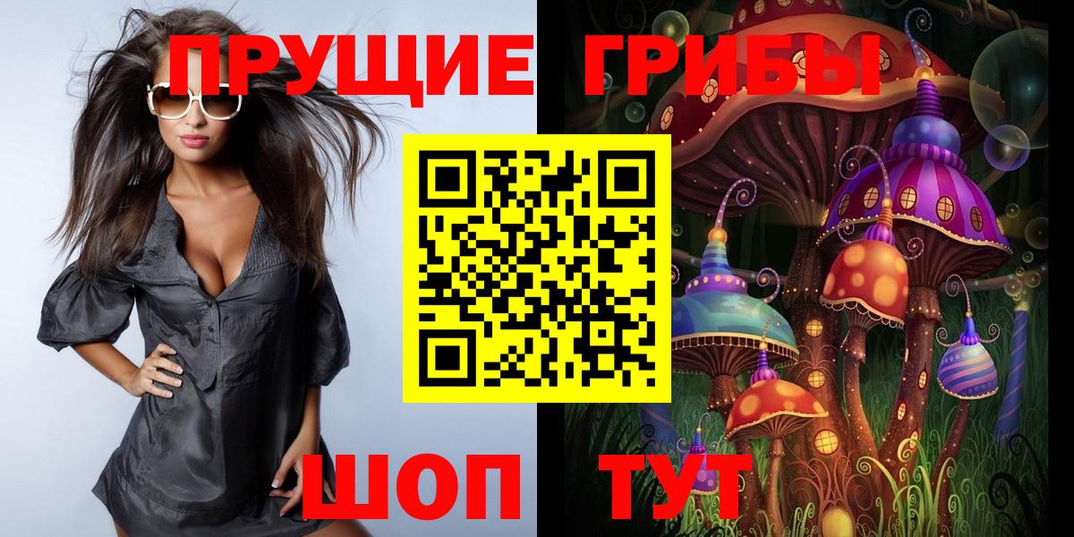 Карачаевск  Псилоцибиновые грибы Cubensis  Вход с VPN 